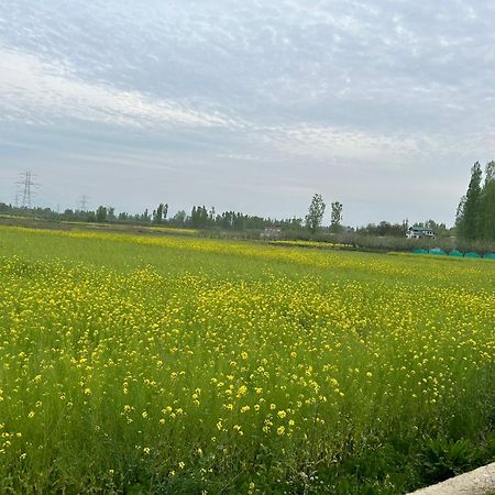 Green View Group Of Houseboats Srīnagar 外观 照片