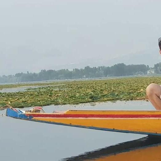 Green View Group Of Houseboats Srīnagar 外观 照片