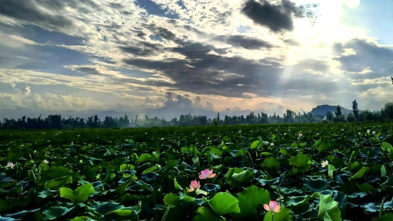 Srīnagar Green View Group Of Houseboats酒店 外观 照片