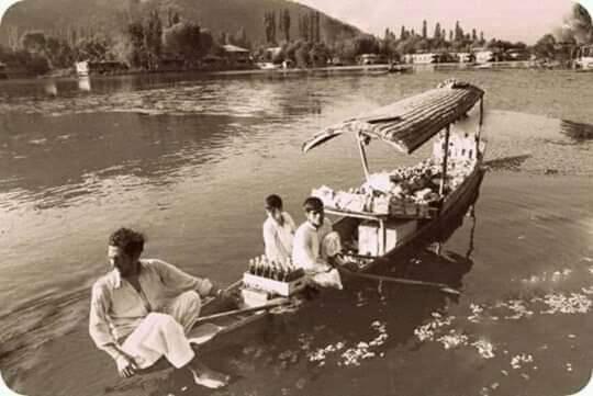 Green View Group Of Houseboats Srīnagar 外观 照片